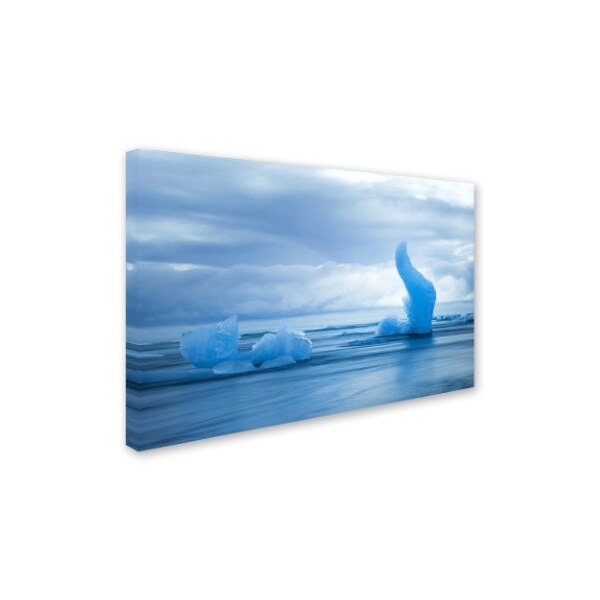 Philippe Sainte-Laudy 'Flying Blue' Canvas Art,30x47
